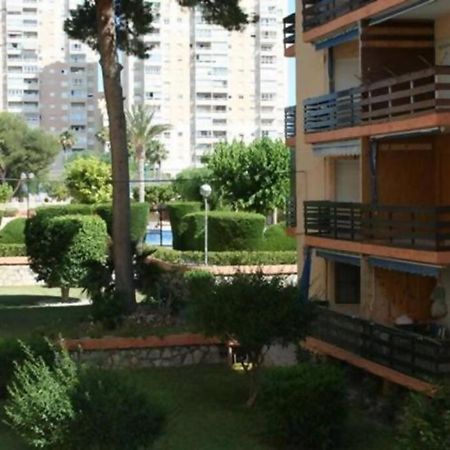 Las Lanzas Studio Apartment Playa Muchavista El Campello Eksteriør billede