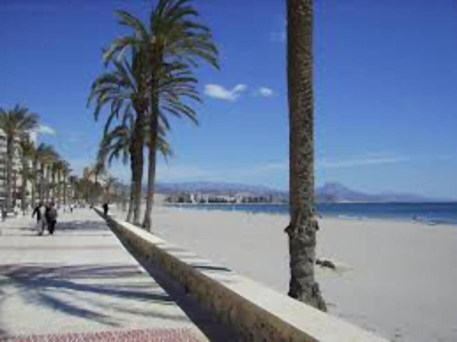 Las Lanzas Studio Apartment Playa Muchavista El Campello Eksteriør billede