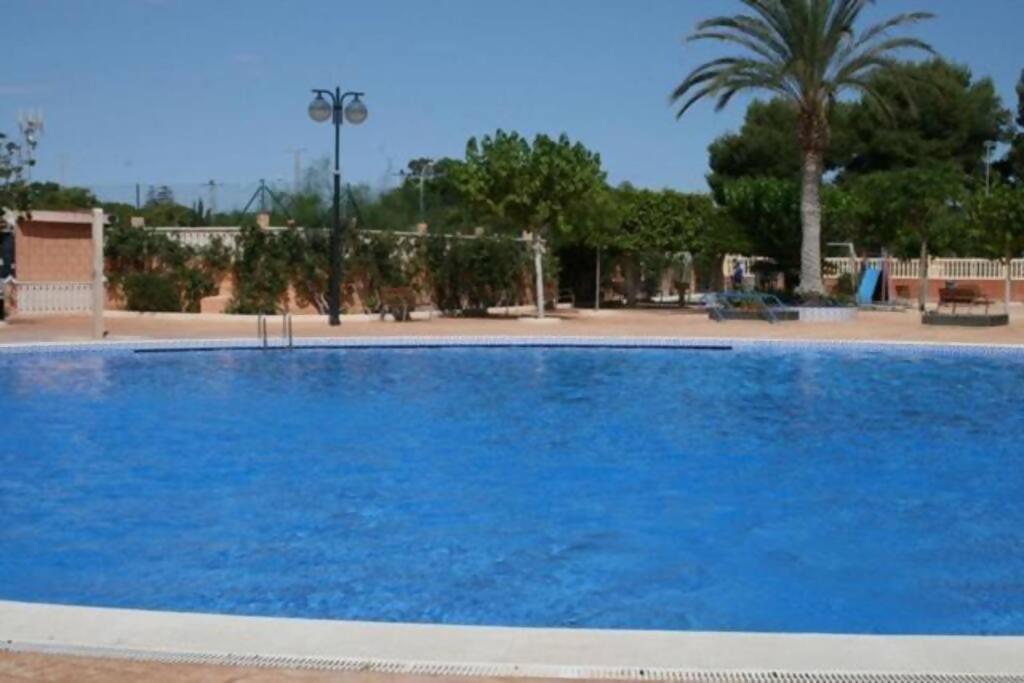 Las Lanzas Studio Apartment Playa Muchavista El Campello Eksteriør billede