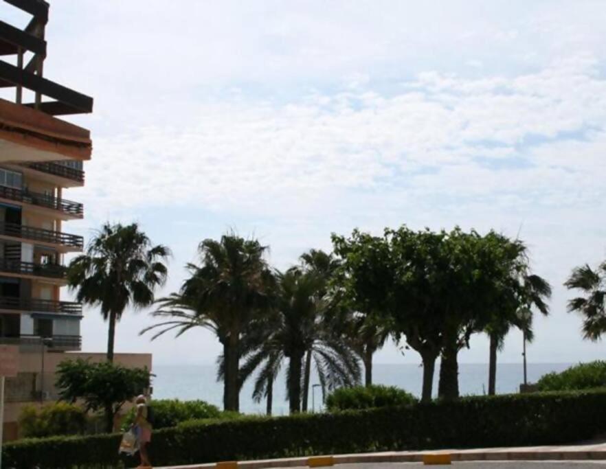 Las Lanzas Studio Apartment Playa Muchavista El Campello Eksteriør billede