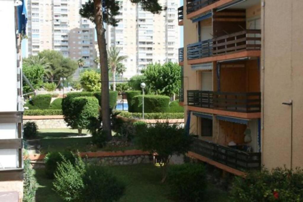 Las Lanzas Studio Apartment Playa Muchavista El Campello Eksteriør billede