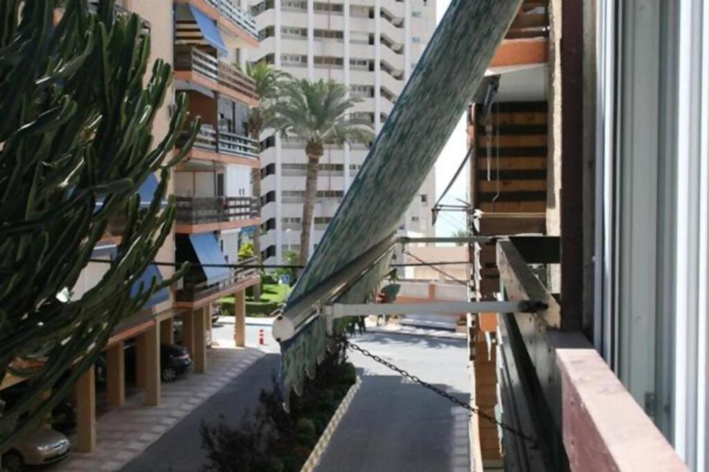 Las Lanzas Studio Apartment Playa Muchavista El Campello Eksteriør billede